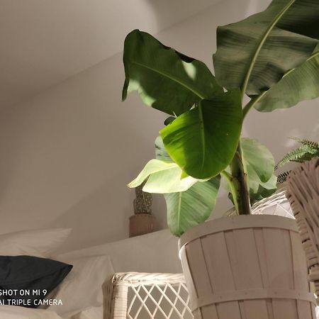 The Best In The Center Of Tarifa 아파트 외부 사진