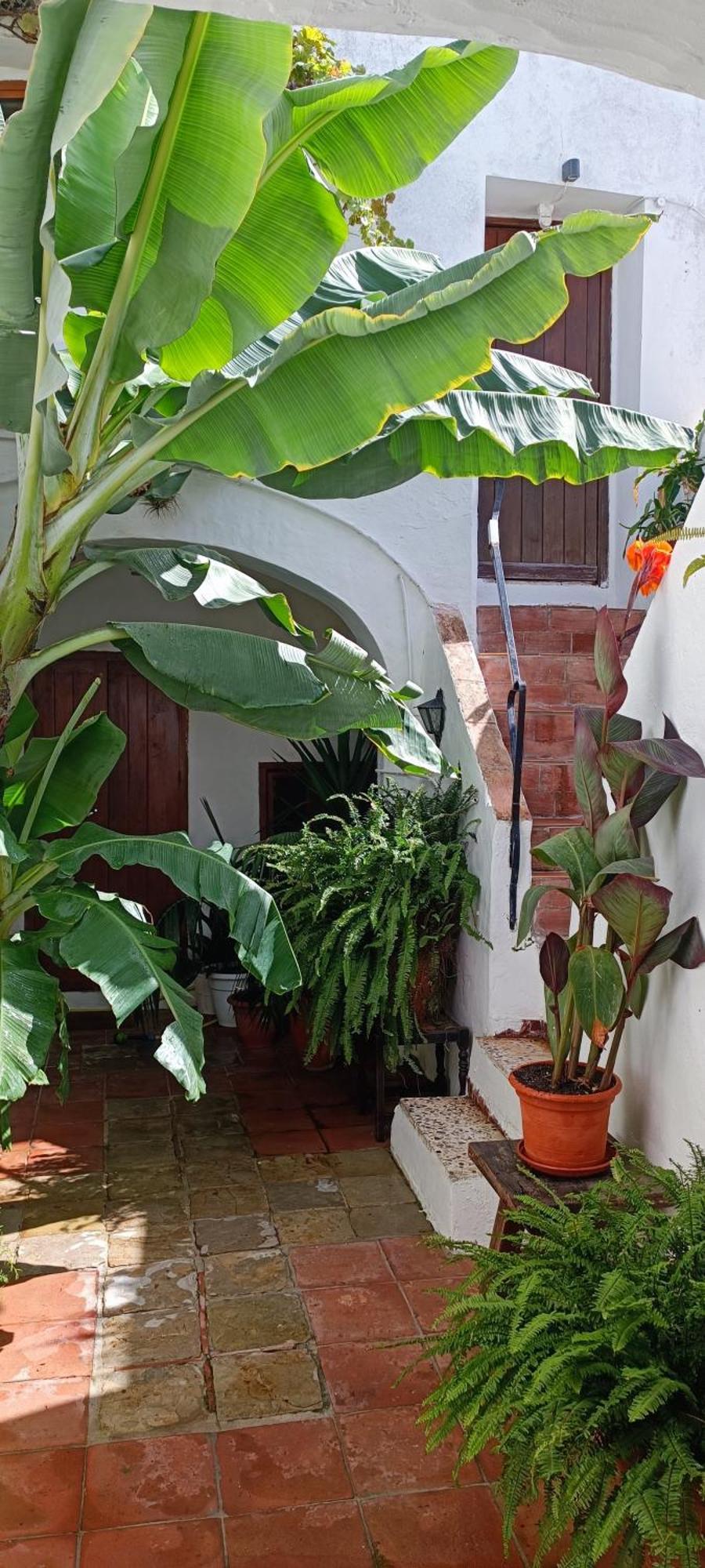 The Best In The Center Of Tarifa 아파트 외부 사진